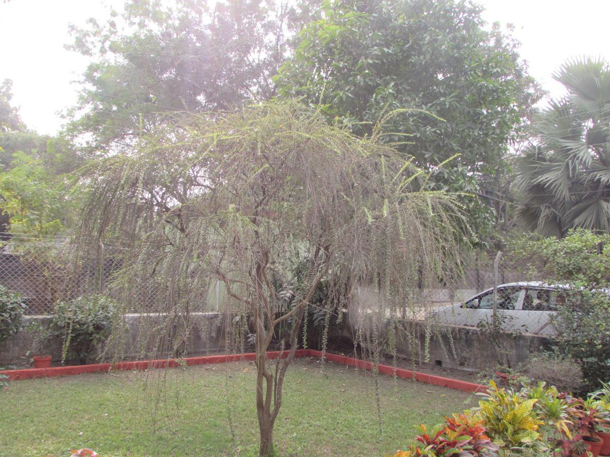 Shānti Niketan Aayesh Bed & Breakfast מראה חיצוני תמונה